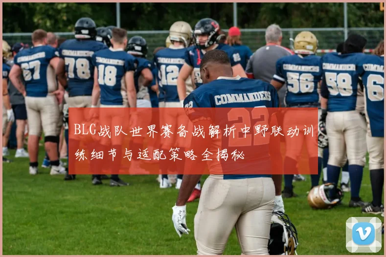 BLG战队世界赛备战解析中野联动训练细节与适配策略全揭秘